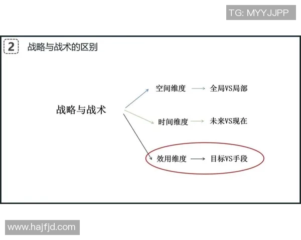 乒乓球深度解析西安乒乓球队如何实现整体压制与战术优势